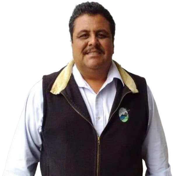 no-bg-image