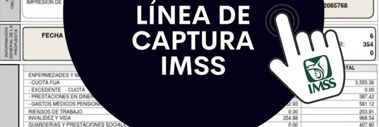 Modalidad 40 del IMSS: continúan las dificultades para obtener la línea de captura