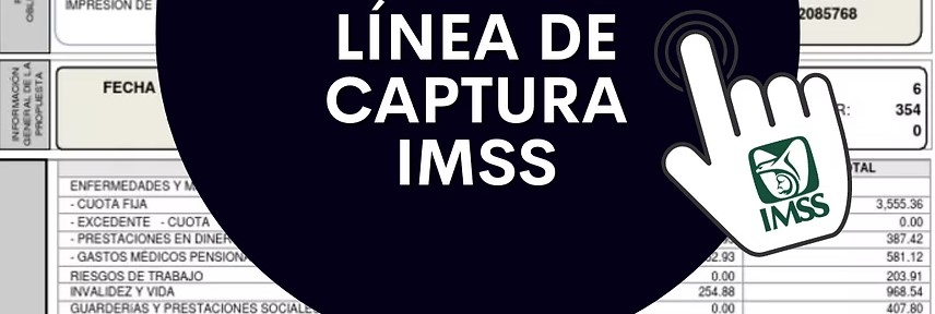 Modalidad 40 del IMSS: continúan las dificultades para obtener la línea de captura