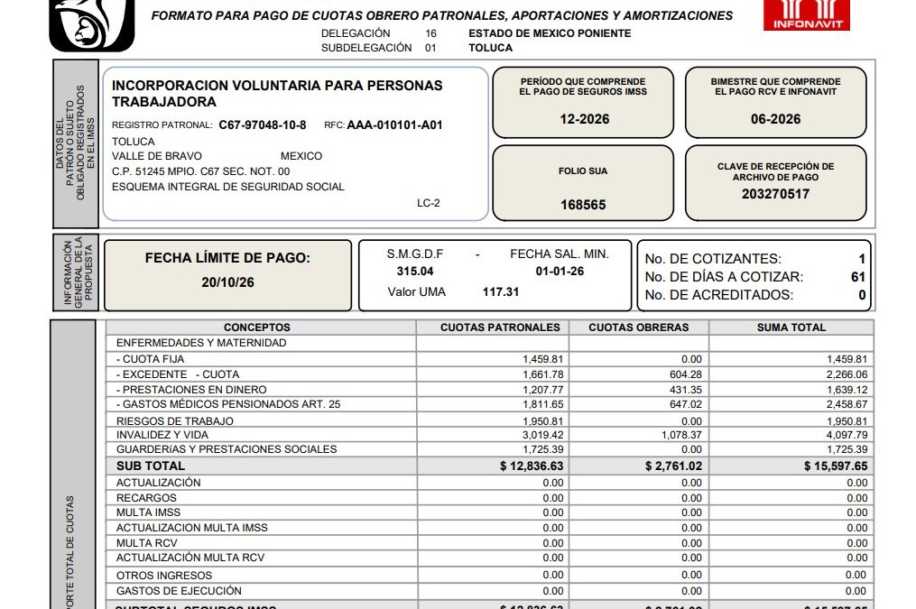 Modalidad 40 del IMSS: continúan las dificultades para obtener la línea de captura